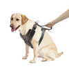 Genuine Durable Leather Harness for Large Dogs