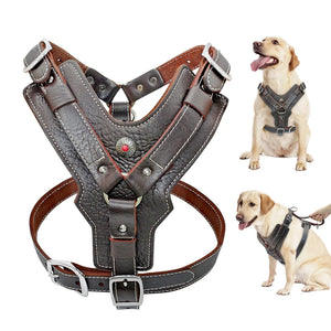 Genuine Durable Leather Harness for Large Dogs