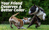 Adjustable Pet Tactical Dog Collar