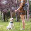 1.5M/2M/5M/3M/15M Medium Latex Silk Easy and Convenient  Dog Leash
