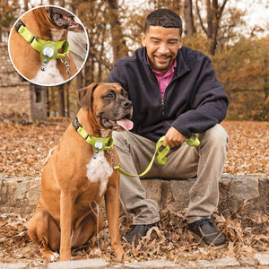 Waterproof Anti-Lost Dog Collar