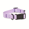 Waterproof Plastic PVC Rubber Dog Collar