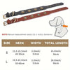 Detachable Dog Collar