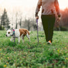1.5M/2M/5M/3M/15M Medium Latex Silk Easy and Convenient  Dog Leash