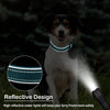 Waterproof Anti-Lost Dog Collar