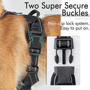 Comfortable Soft Padded Dog Harness