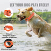 Waterproof Anti-Lost Dog Collar