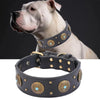 Detachable Dog Collar