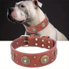 Detachable Dog Collar
