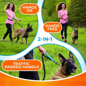 Dual Pet Reflective Nylon Leash