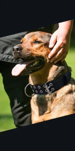 Adjustable Pet Tactical Dog Collar