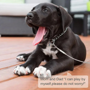 Dog Leash for Dogs Puppy Pet Harness