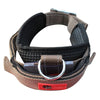 367A Cute Adjustable Dog Puppy Collars