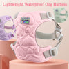 Cute Heart Pattern Adjustable Dog Harness for Small Medium Dogs
