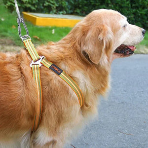 Dog Leash for Dogs Puppy Pet Harness