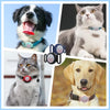 AirTag Silicone Protective Case Anti-Lost Waterproof Dog Tag