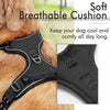 Comfortable Soft Padded Dog Harness