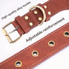 Detachable Dog Collar