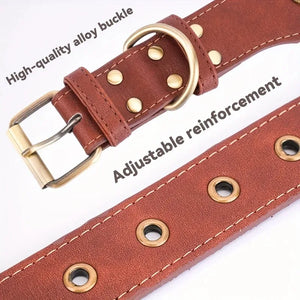 Detachable Dog Collar