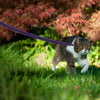 1.5M/2M/5M/3M/15M Medium Latex Silk Easy and Convenient  Dog Leash