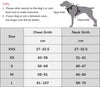 No-Pull Reflective Pet Harness