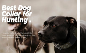 Adjustable Pet Tactical Dog Collar