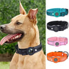 Waterproof Anti-Lost Dog Collar