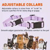 Waterproof Plastic PVC Rubber Dog Collar