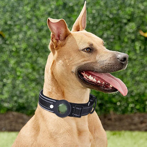 Waterproof Anti-Lost Dog Collar